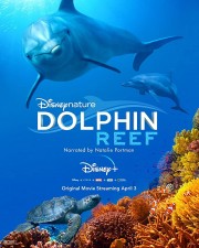 watch Dolphin Reef free online