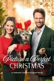 watch Picture a Perfect Christmas free online