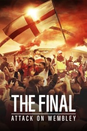 watch The Final: Attack on Wembley free online