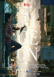 watch The Pigeon free online