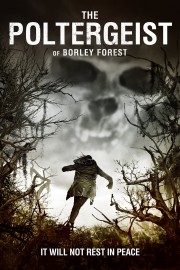 watch The Poltergeist of Borley Forest free online