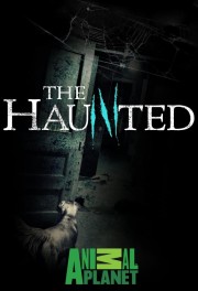 watch The Haunted free online