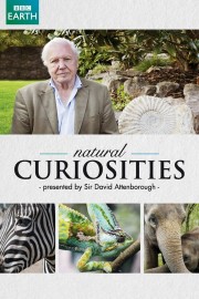 watch David Attenborough's Natural Curiosities free online