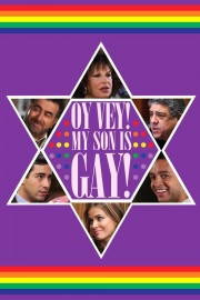 watch Oy Vey! My Son Is Gay! free online