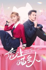 watch Falling in Love With Cats free online