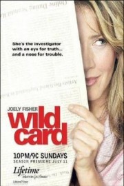 watch Wild Card free online