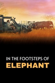 watch In the Footsteps of Elephant free online