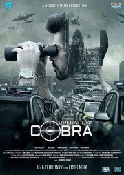 watch Operation Cobra free online