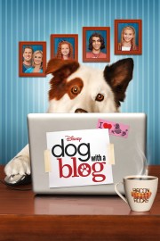 watch Dog with a Blog free online