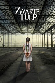 watch Black Tulip free online