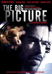 watch The Big Picture free online