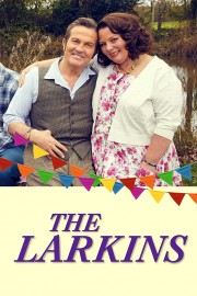 watch The Larkins free online