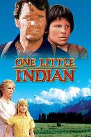 watch One Little Indian free online