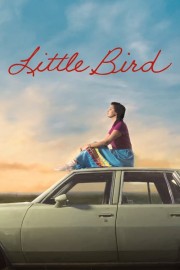 watch Little Bird free online