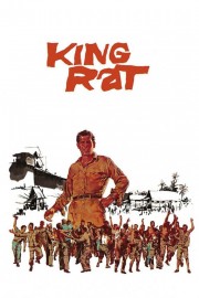 watch King Rat free online