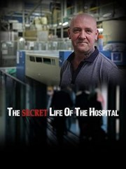 watch Secret Life of the Hospital free online