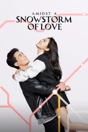 watch Amidst a Snowstorm of Love free online