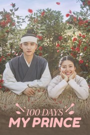 watch 100 Days My Prince free online