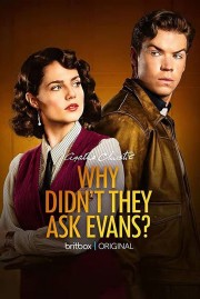 watch Why Didn't They Ask Evans? free online