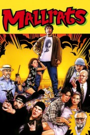 watch Mallrats free online