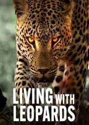 watch Living with Leopards free online