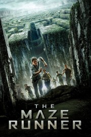 watch The Maze Runner free online