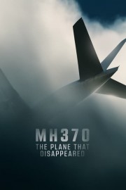 watch MH370: The Plane That Disappeared free online