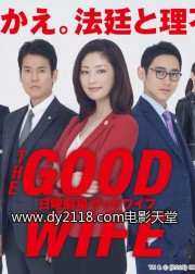 watch The Good Wife free online