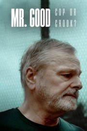 watch Mr. Good: Cop or Crook? free online