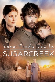 watch Love Finds You In Sugarcreek free online