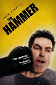 watch The Hammer free online