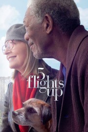 watch 5 Flights Up free online