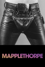 watch Mapplethorpe free online