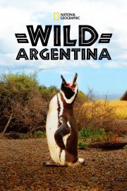 watch Wild Argentina free online