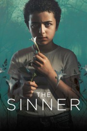 watch The Sinner free online