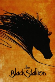 watch The Black Stallion free online