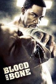 watch Blood and Bone free online