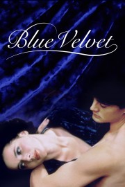 watch Blue Velvet free online