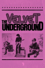 watch The Velvet Underground free online