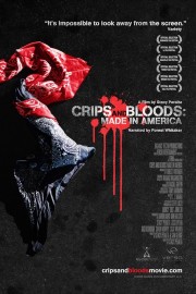 watch Crips and Bloods: Made in America free online