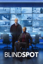 watch Blindspot free online