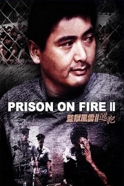 watch Prison on Fire II free online