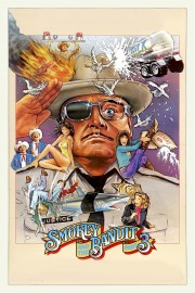 watch Smokey and the Bandit Part 3 free online