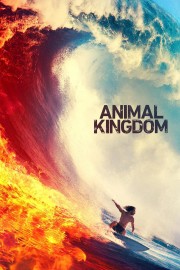 watch Animal Kingdom free online