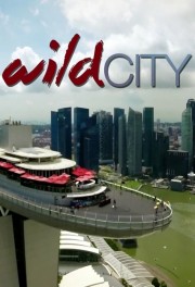 watch Wild City free online