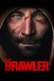 watch The Brawler free online