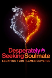 watch Desperately Seeking Soulmate: Escaping Twin Flames Universe free online