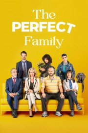 watch The Perfect Family free online