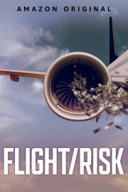 watch Flight/Risk free online