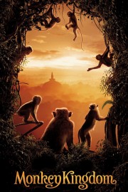 watch Monkey Kingdom free online